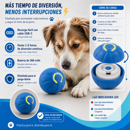 La pelota inteligente que mantiene feliz y activo a tu compañero 🐾