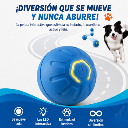 La pelota inteligente que mantiene feliz y activo a tu compañero 🐾