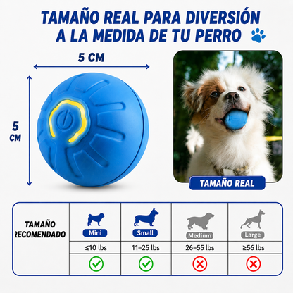 La pelota inteligente que mantiene feliz y activo a tu compañero 🐾