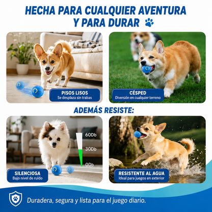 La pelota inteligente que mantiene feliz y activo a tu compañero 🐾